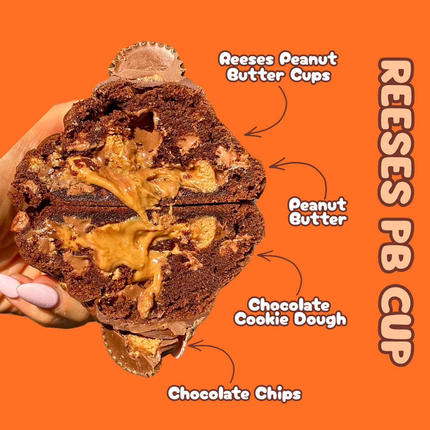 Box of 6 🍪 The Crowd Favourite ⭐️